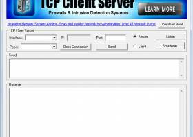 Tcp Client Server screenshot