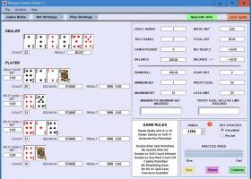 Blackjack System Trainer screenshot