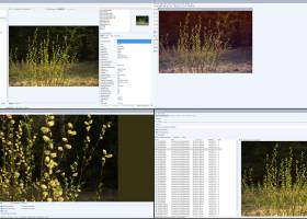 Portable WildBit Viewer screenshot