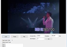 All-in-one Decoder Directshow filter SDK screenshot