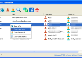 SterJo Browser Passwords screenshot