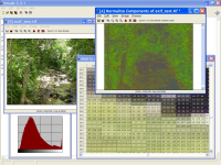 ImLab for Windows screenshot