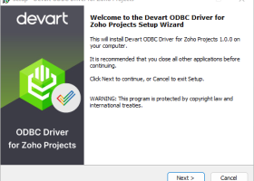 Zoho Projects ODBC Driver by Devart screenshot