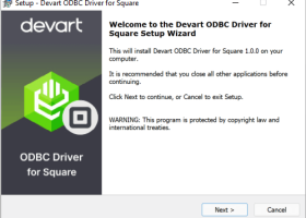 Square ODBC Driver by Devart screenshot