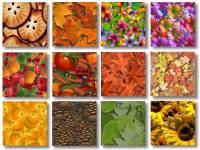 Imagelys Texture Pack #3 screenshot