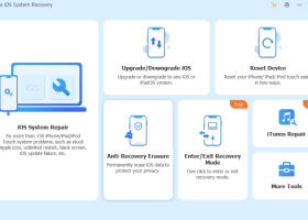 iOS System Recovery screenshot