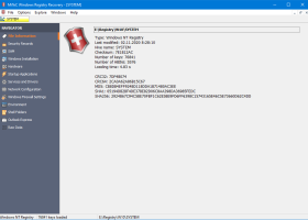 Windows Registry Recovery screenshot