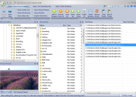 BatchRename Pro screenshot