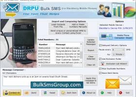 BlackBerry Bulk SMS Software screenshot