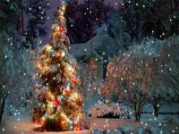 Christmas Serenity Screensaver screenshot