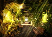 Dreams Animated Wallpaper screenshot