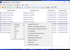 Daram Renamer screenshot