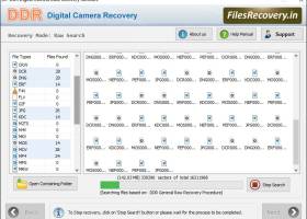 Camera File Recovery Tools screenshot