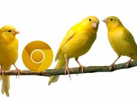 Google Chrome Canary screenshot