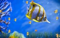 Marine Life Aquarium Animated Wallpaper screenshot
