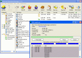 InternetDownload Manager screenshot