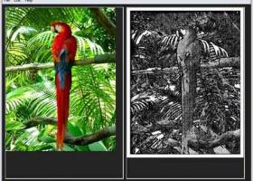 Portable FotoSketcher screenshot