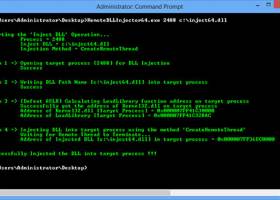 Remote DLL Injector screenshot