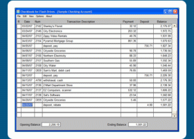 Checkbook for Flash Drives screenshot