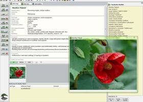 Deeproot Plant Base screenshot