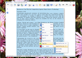 SSuite Writers D-Lite screenshot