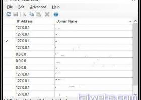 Micro Hosts Editor screenshot
