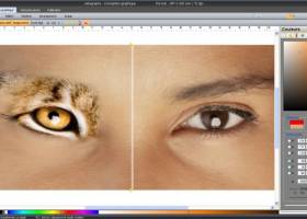 Labography screenshot