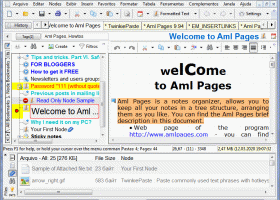Aml Pages Portuguese Brazilian version screenshot