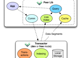 Datomic Pro screenshot