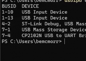 usbipd-win screenshot