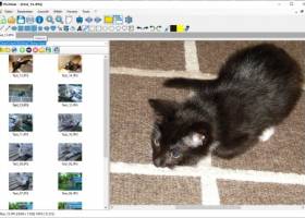 Alternate Pic View Lite screenshot