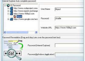 IE Passwords Unmask Software screenshot