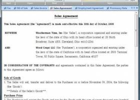Blitzdocs screenshot