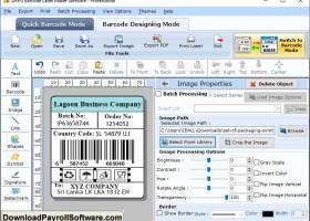 Professional Barcode Software screenshot