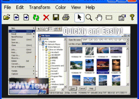 PMView Pro screenshot