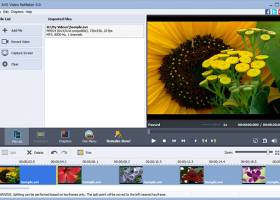 AVS Video ReMaker screenshot