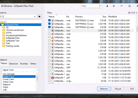 BS Rename screenshot