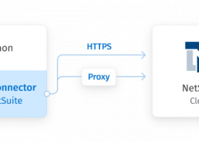 NetSuite Python Connector by Devart screenshot