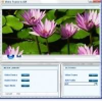 Viscom Store Video Frame to AVI screenshot