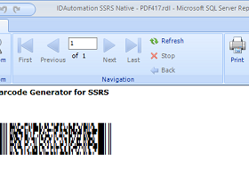 SSRS PDF417 Barcode Generator screenshot