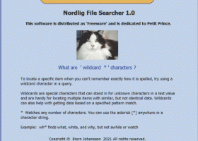 Nordlig File Searcher screenshot