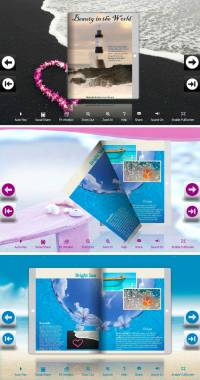 Flip_Themes_Package_Lively_Beach screenshot