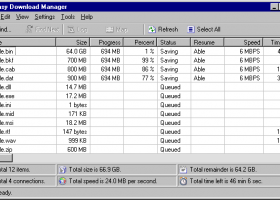 Easy Download Manager screenshot