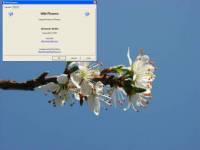 Wild Flowers Screen Saver screenshot