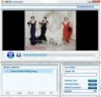 Viscom Store RM Converter screenshot