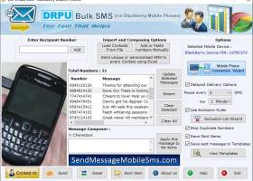 Blackberry Text Messaging Program screenshot