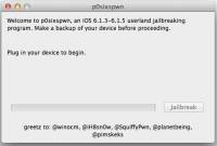 p0sixspwn screenshot