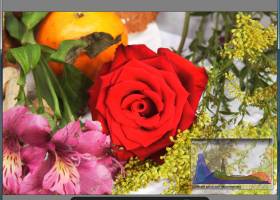 ReaViewer screenshot