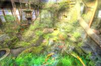 Relaxing Nature Animated Wallpaper screenshot