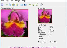 Clic by BlaizEnterprises.com screenshot